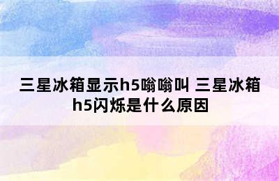 三星冰箱显示h5嗡嗡叫 三星冰箱h5闪烁是什么原因